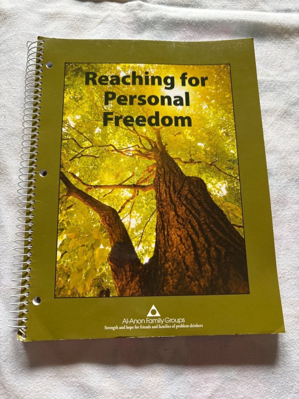 Reaching Personal Freedom Workbook Al-Anon Spiral Bound Living Legacies 2013